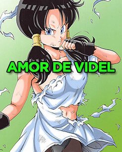 Amor de Videl – Dragon Ball